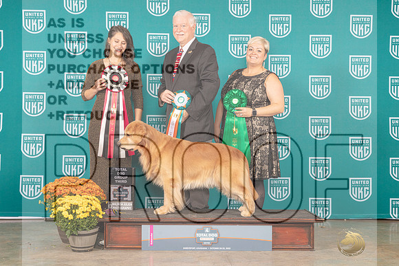 Golden Retriever #105 Sat TD3_MJ_1132_Shreveport_2022_HR3