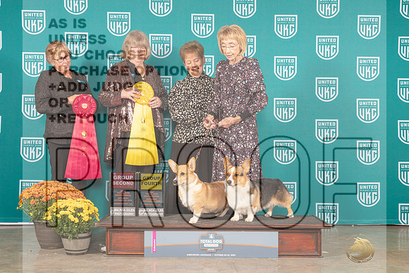 Pembroke Welsh Corgis #117 #114 Sat G4 G2_MJ_0977_Shreveport_2022_HR3