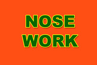 Nose Work