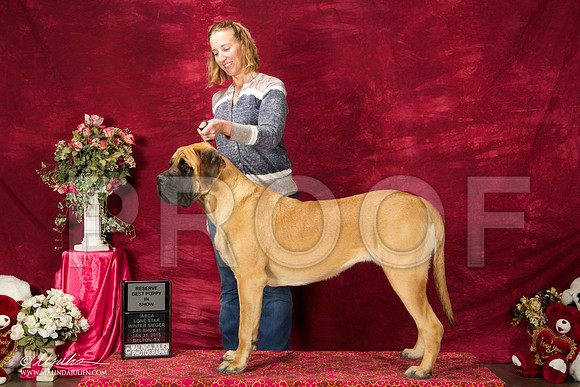 _ST_2672-BeltonJan2015IABCA-HR3