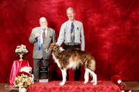 Silken Windhound Sat S2 BOW Kent Jones Judge Paul Bruneau