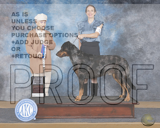 Beauceron #9 Sat BOW WD M Judge Terry DePietroBeauceron #9 Sat BOW WD M Judge Terry DePietro_WP_9499e-Sulphur Spings 2025-HR3