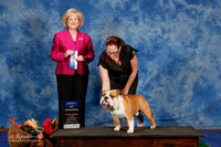 Bulldog #7 Sat Bow Clayter Judy and Jim and Eileen Halverson Judge Vicki L Abbott