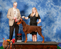 Doberman Pinscher #15 Sat BOS Gaspard Bryan and Jordan Gaspard Judge Mr Jon C Cole