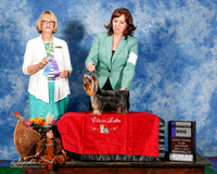 Yorkshire Terrier #5 Sat WD Sat Keeling Mary and Emily Gonzales Judge Mrs Keke Kahn
