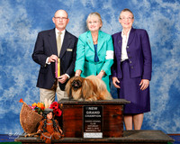 Pekingese #5 Sat BOB NGC Skinner Collen Doolin Judge Benson E Ray