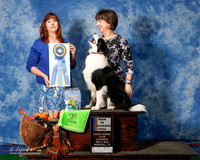Border Collie #24 Sat HIT Doucet Joanne and Kevin Judge Cathleen Caballero