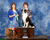 Border Collie #24 Sat Nov B 1st Doucet Joanne and Kevin Judge Cathleen Caballero