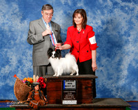 Papillon #8 Sat BOW Maj Cox Paula and Janis McLaren