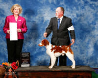 Brittany #5 Sat G4 Pate Nathan and Rick and Nan Crites Judge Vicki Abbott