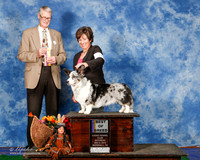Cardigan Welsh Corgi #16 Sat BOB Kuettel George Ann Judge Jon Cole