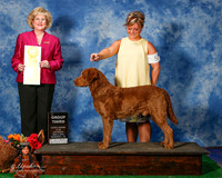 Chesapeake Bay Retriever #5 Sat G3 Dennis Tammy Debbie Glasser Craig Dennis Judge Vivki Abbott