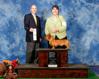 Dachshund #7 Sat OH G4 Forrester Donna Judge Mrs Keke Kahn