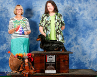 Dachshund Longhaired #17 Sat BOS Maj Robison Giz M Judge Mrs Keke Kahn