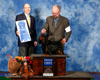 English Toy Spaniel #5 Sat G1 Knaus Sandy Judge Mr Larry C Abbott