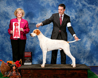 Pointer #5 Sat G2 Mosing Jennifer and Alberto Abajo Romo Judge Vivki L Abbott