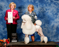 Poodle Standard #20 Sat G4 Hughes Linda and Wendy Penn Judge Vicki Abbott