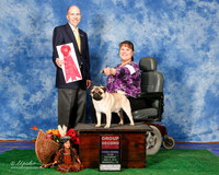 Pug #5 Sat G2 Ratliff Kristy and Kevin Judge Mr Ray Benson