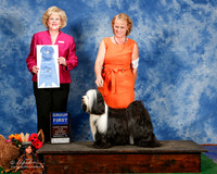 Tibetan Terrier #7 Sat G1 Planche Dina and Mikki and Lois DeMers Jduge Vicki Abbott