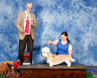 Dandie Dinmont Terrier #5 Sat G2 Blair  Caroline and Brad McDannald Judge Jon Cole