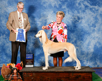 Saluki #5 Sat G1 Middlebrooks s And T Turley Kocab and M Kocab Judge Jon Cole