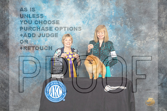 Pomeranian #59 Fri2 BISS Judge Sharon Masnick-_MJ_9756-HR3