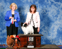 Papillon #8 Sun Maj BOS Cox Paula and Janis McLaren Judge Vicki Abbott