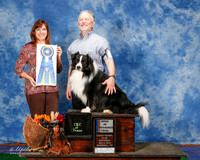 Border Collie #23 Sun HIT Cali Dennis D Judge Cathleen Caballero