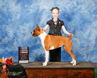 Boxer #10 Sat WB Everitt Gayla Judge Jon R Cole RESHOOT