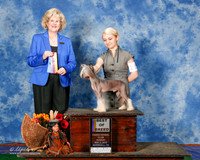 Chinese Crested #11 Sun BOB Prinddy Brooke Melissa Priddy Kayla Priddy P Judge Vicky