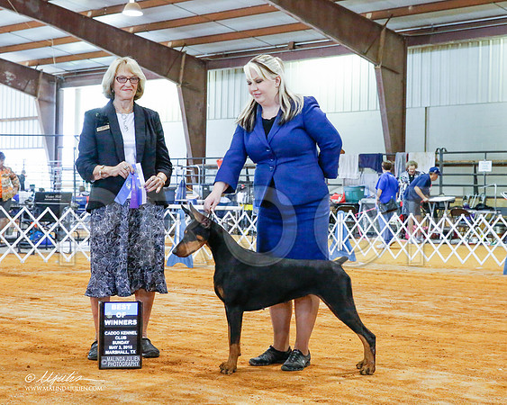 _CL_7892-2-MarshMay2015-HR3