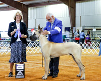 Great Dane #15 Sun WD Moore Sonya L and J David Judge Keke Kahn