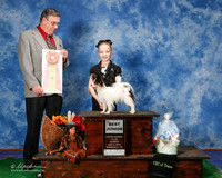 Papillon #J402 Sun Best Jr Rose Mandy and Gayla Jacke Cantwell Judge C Michael Besnson