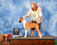 Boxer #8 Sun RWB Richardson Connie McGill RESHOT