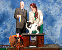 Japanese Chin #5 Sun Maj BOB Bell Aly and Gail Bertrand Judge Mr Larry C Abbott