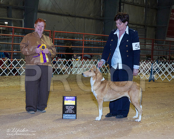 _RH_8621-GlenRoseJan2015-HR3