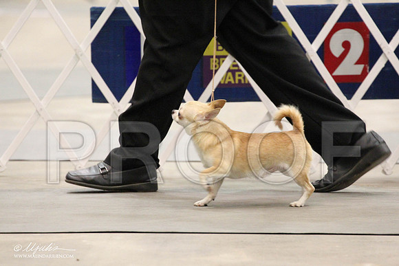 IMG_7274-Abilene2011-HR3