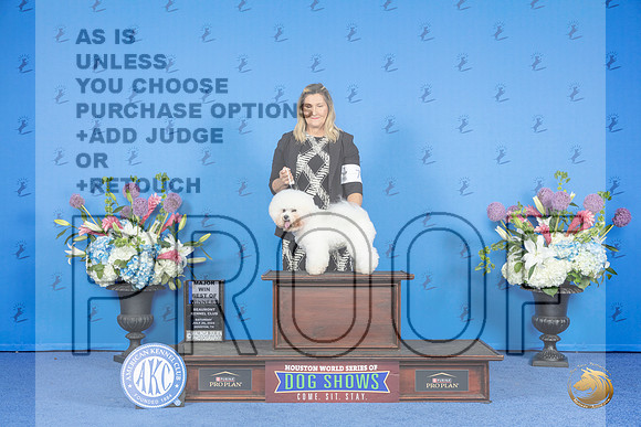 Bichon Frise #7 SAT BOW M Judge James Moses__JP_0005_Houston_2024_HR3
