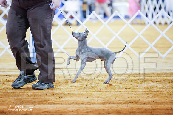 _JJ_1828-MarshMay2015-HR3