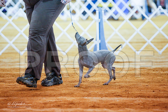 _JJ_1829-MarshMay2015-HR3