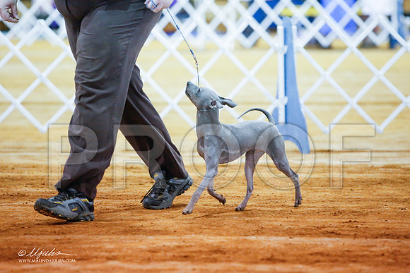 _JJ_1830-MarshMay2015-HR3