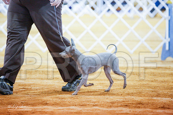_JJ_1831-MarshMay2015-HR3