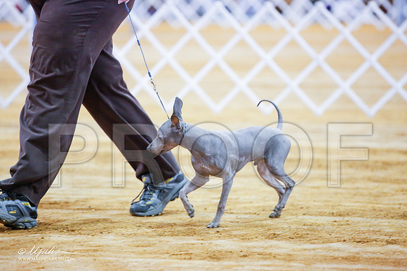 _JJ_1834-MarshMay2015-HR3