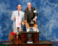 Beagle 13 #6 Sun OH G1 Wolf David and Ann