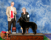 Belgian Sheepdog #6 Sun G2 Lachnitt Lizbeth and Paul Judge Jon Cole