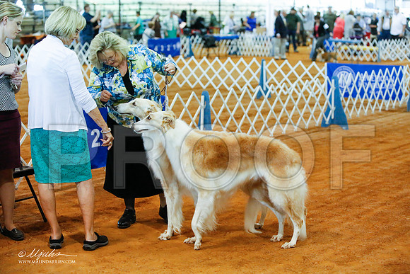 _JJ_1683-MarshMay2015-HR3