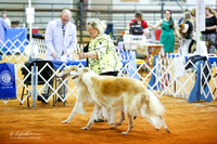 Borzoi #12 #14 Sun Brace Ring