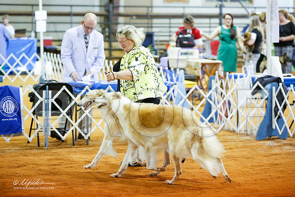_JJ_3133-MarshMay2015-HR3