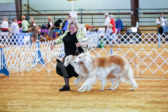 _JJ_3147-MarshMay2015-HR3
