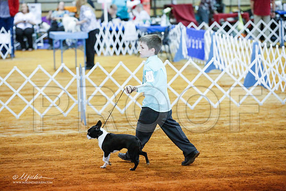 _JJ_2731-MarshMay2015-HR3
